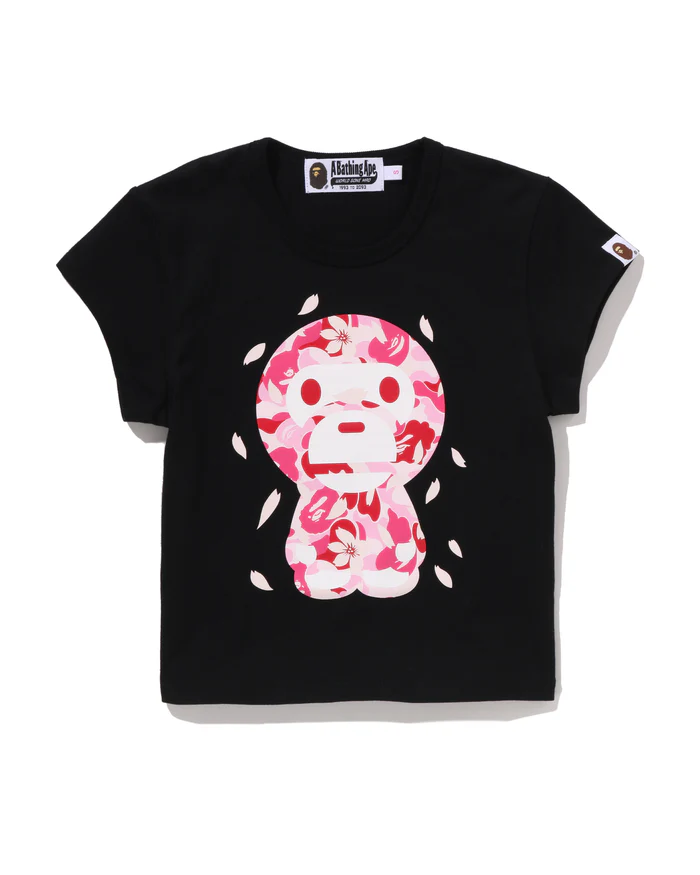Iconic Streetwear, Global Legacy